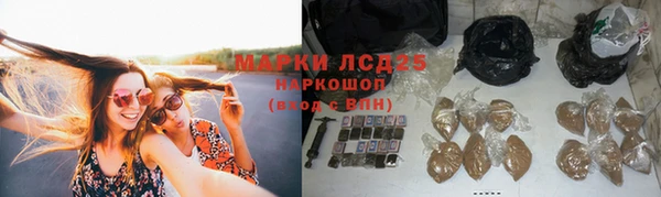 крисы Белоозёрский