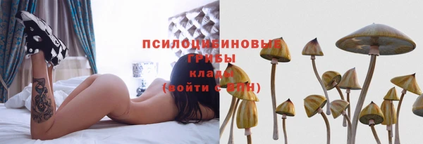 крисы Белоозёрский
