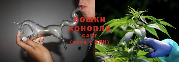 крисы Белоозёрский